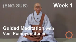 (EN/KO/中文/GER/FR SUB) Guided Meditation with Ven Pomnyun Sunim [Week 1] screenshot 3