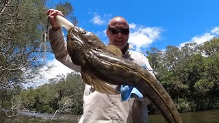 Small Creek, Monster Flathead on Soft Plastics. Mid North Coast NSW. screenshot 4
