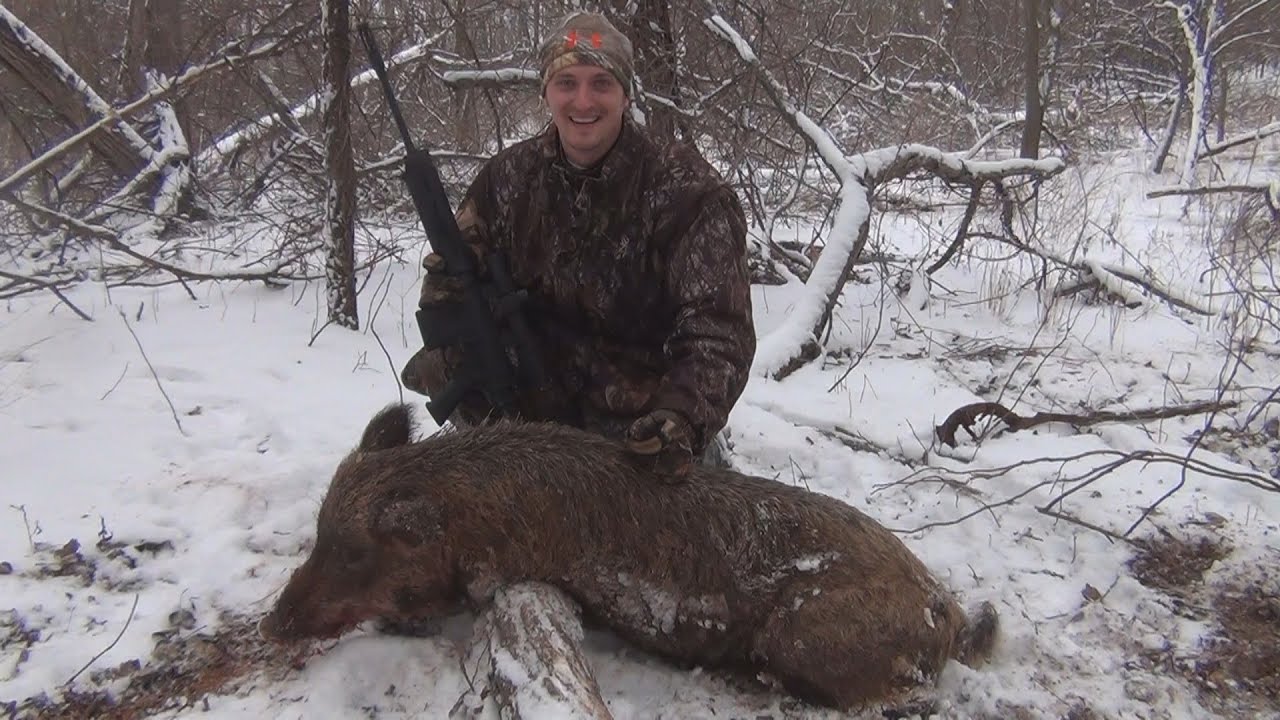 Wild Hog Hunting in Oklahoma. Plinkster Outdoors. 