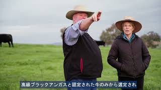 Tender Valley Beef Japanese Subtitles