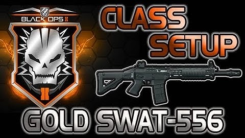 Black Ops 2 Gold Swat 556 Class Setup [Hardcore]