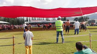 2018 Muğla Ortaca Yağlı Güreşleri Ismail Balaban Orhan Okulu Ali Gürbüz Başpevlivan