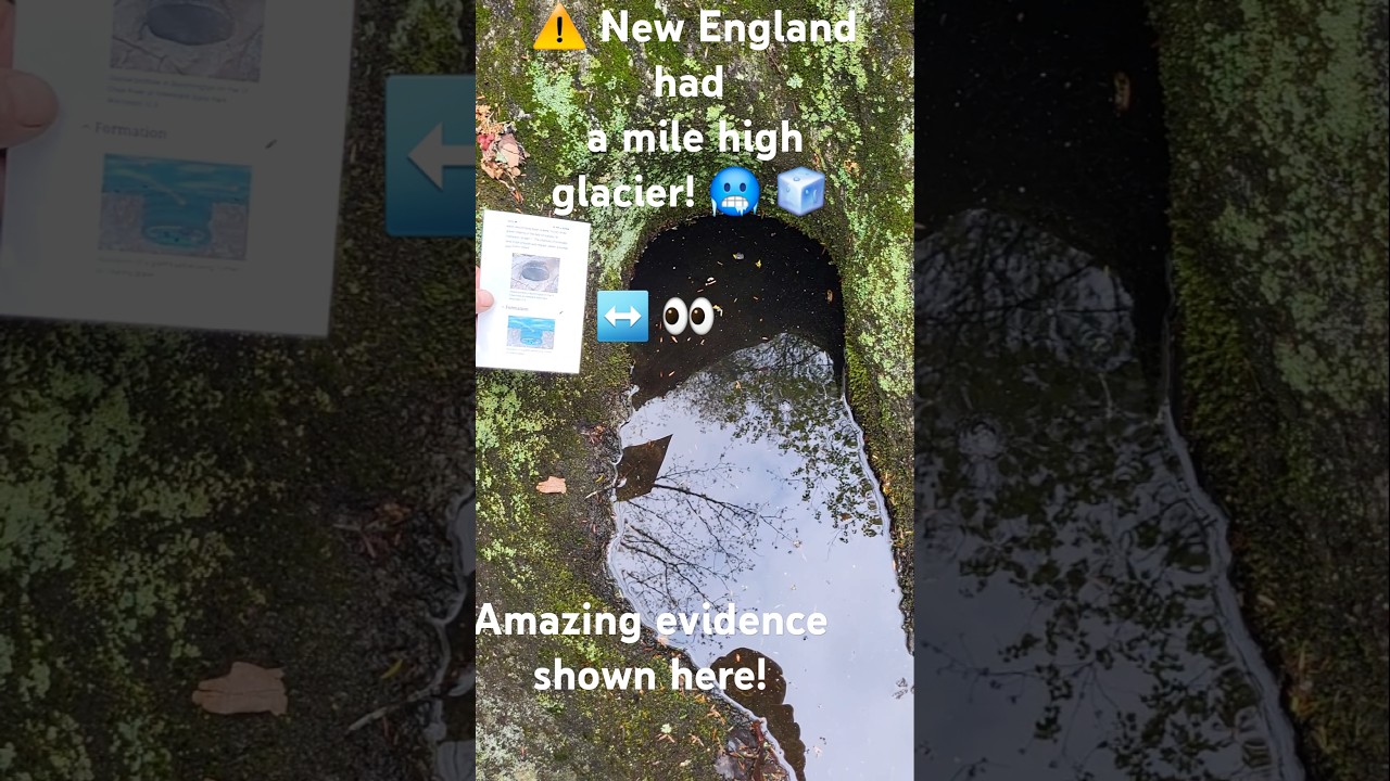 Did you know this? 😲 Have you ever seen these? I have in CT, NH, ME. 