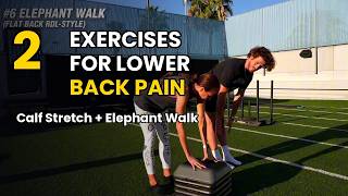 2 Simple Exercises That Help Lower Back Pain