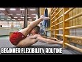 Flexibility stretches for beginners: Improve your flexibility with these stretches!!