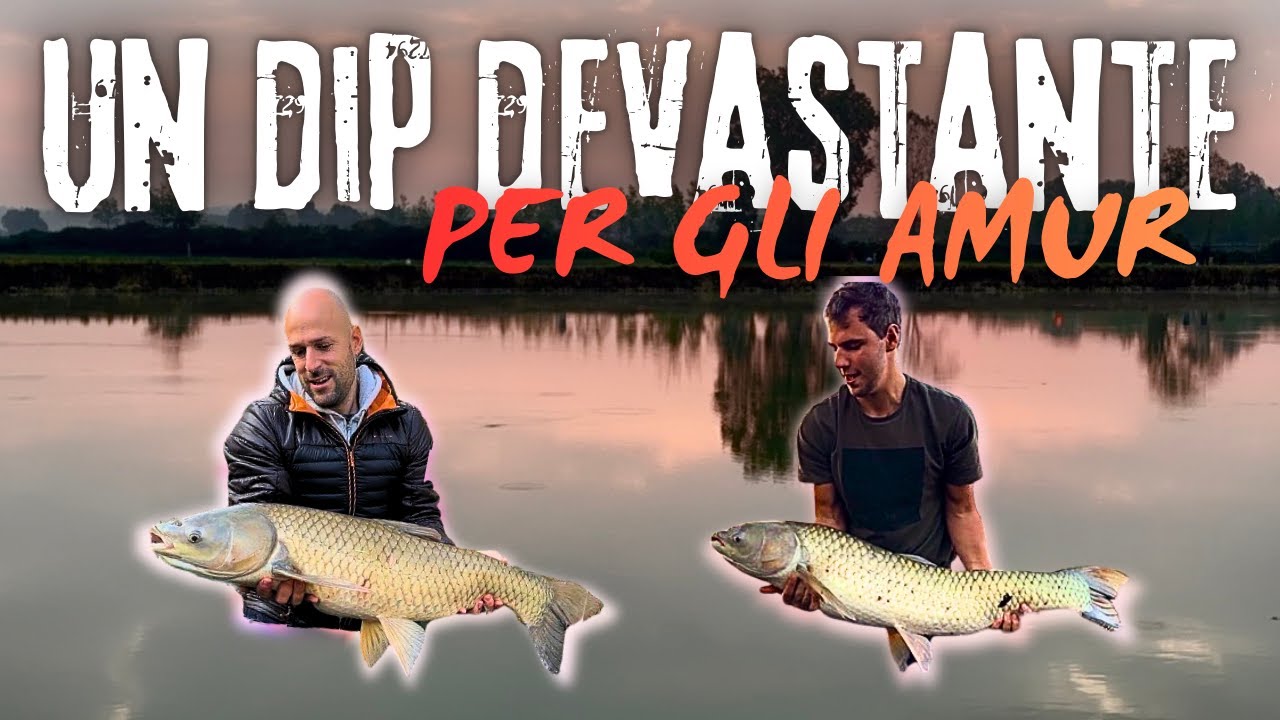 CARPFISHING - UN DIP DEVASTANTE PER GLI AMUR