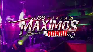 El Toro Mambo, Rango (Popurrí de Cumbias) | Los Maximos De La Banda