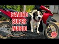 Saving super mario