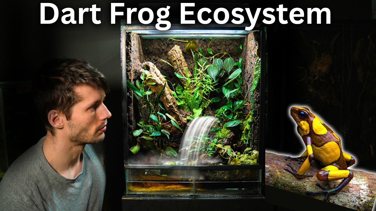 I Made a Terrarium For Dart Frogs With a Working Waterfall, Here's How!