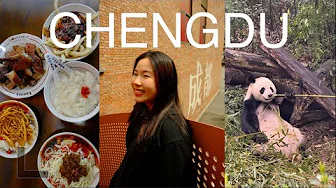 Chengdu Mini Guide [成都] Pandas, Spicy Hotpot, Shopping & local food