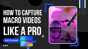How to shoot indoor macro videos like a pro with your smartphone #macro #photographybts