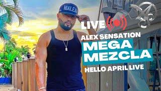Hello April Live