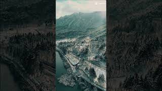 Zenmoto – 2041 : Quand la nature reprend la route