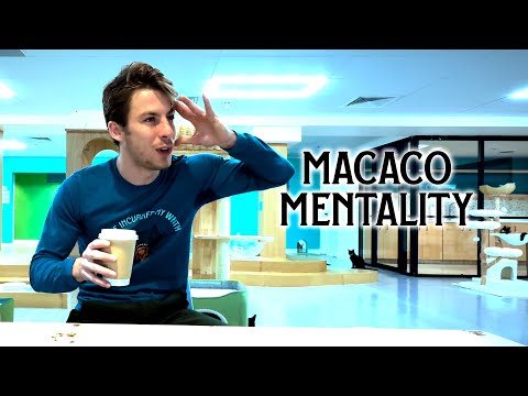 Macaco | Let's Master Tricking