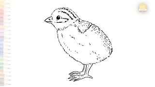 Baby Turkey drawing easy | Outline sketches | How to draw A Baby turkey step by step | #artjanag