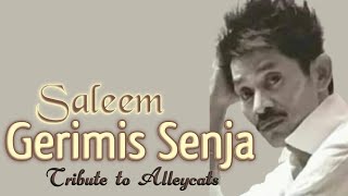 SALEEM - Gerimis Senja | Video Lirik