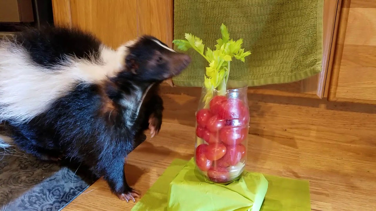 Archer's Bloody Mary YouTube