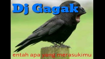DJ Gagak Entah Apa Yang Merasukimu 1 jam