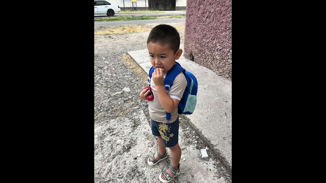 Модник Эмир