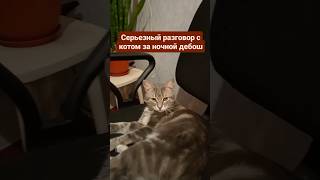 😆😆#Cat #Shortscats #Смех #Приколы #Ржачныевидео #Tiktok #Жиза