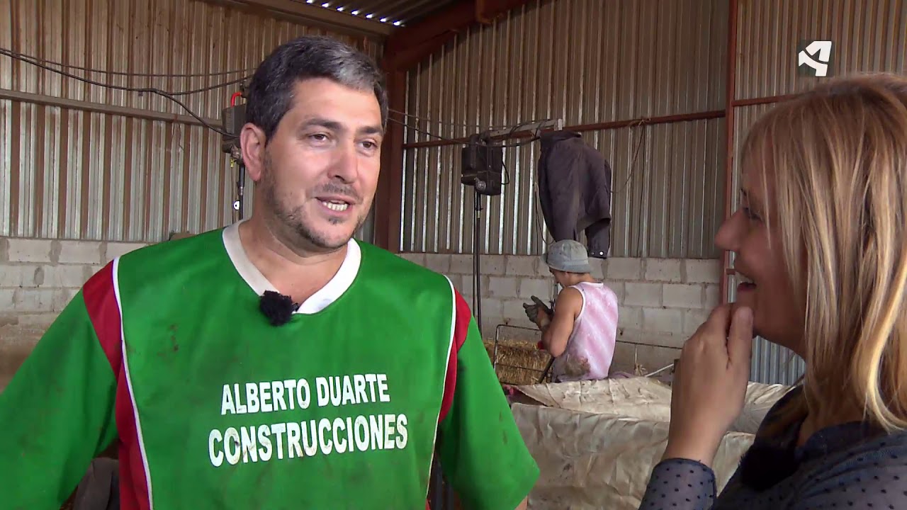 ESQUILADORES. ESQUILADORES URUGUAYOS