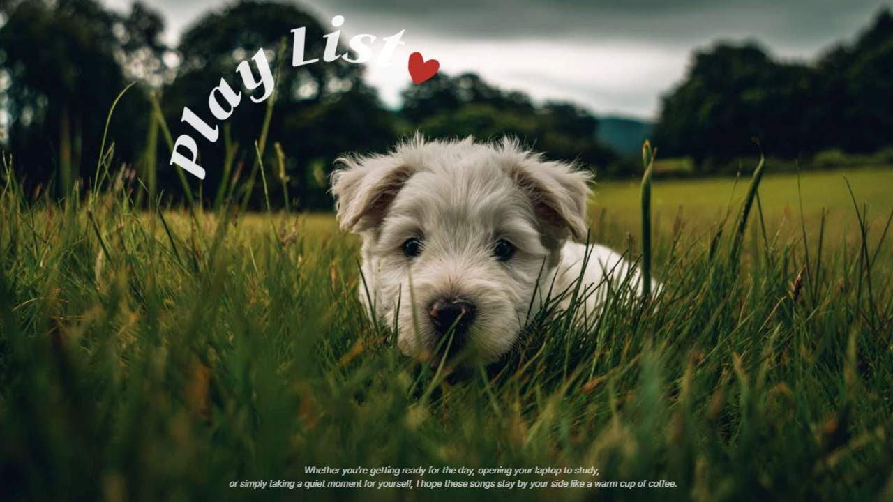 𝐏𝐥𝐚𝐲𝐥𝐢𝐬𝐭 추운 겨울❄️ 새해 아침을 시작하는 음악☀️하루종일 기분 좋아지는 카페 플레이리스트🎧