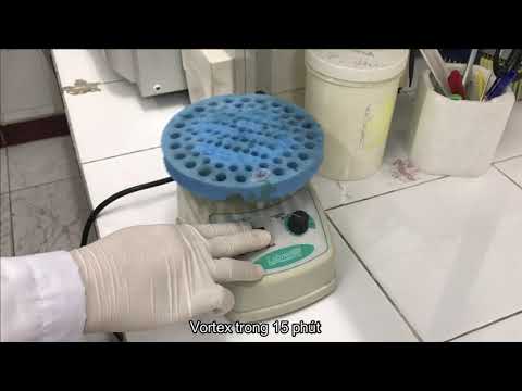 Video Quy trình tách chiết RNA - Thực tập Sinh học phân tử... - YouTube