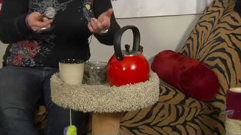 Homemade Catnip Spray