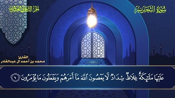 066 سورة التحريم || محمد العبد القادر | ١٤٤٦هـ