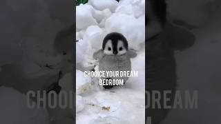 CHOOICE YOUR DREAM BEDROOM #shorts #video #trending #video @BABY.CHOOICE.27