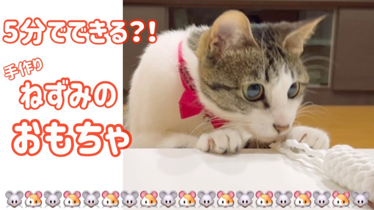 簡単手作り】取ってこいおもちゃ🧸犬猫用 - YouTube