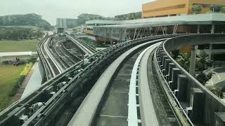 Singapore MRT Day 51 SBS transit C810A Set V51/V54 NE17/PTC Punggol To PE6 Oasis Departing  News