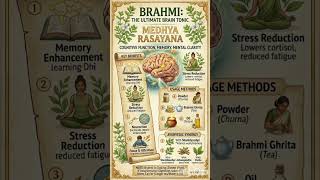 #BrainTonic #Brahmi #Nootropics #MemoryBoost #MentalClarity #CognitiveHealth #BrainFood