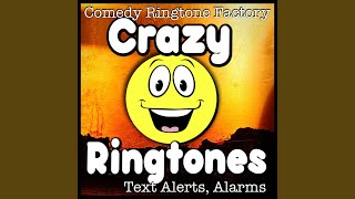 Dirty South 2 Hip Hop Funky Ringtone Alarm Text Alert screenshot 3