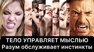 ТЕЛО УПРАВЛЯЕТ МЫСЛЬЮ | Разум обслуживает инстинкты