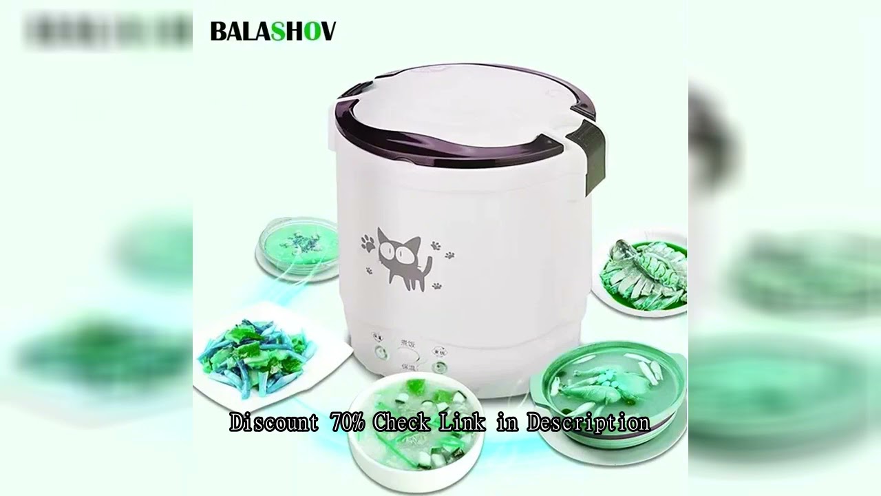 Electric Mini Rice Cooker Portable MultiCooker Household Rice Cookers 12V 24V 220V Pot Cooking Machi