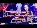 DJ JANGAN TANGGUNG-TANGGUNG - THOMAS ARYA‼️VIRAL TIKTOK‼️DJ FUNKOT 01‼️