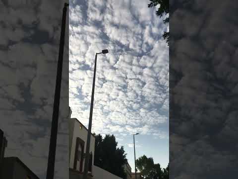 صباح الدوام المشي تاخرتي بتنزلي الفيديو صار صباح بعد الظهر