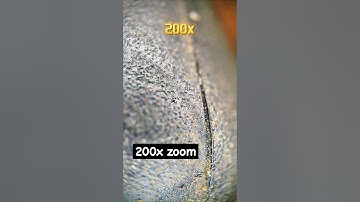 Maximum zoom _ object#macro #amazing #zoom #closeup #shorts