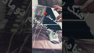 ستار شاه پسر داریم دوماد قند و عسل داریم عروس با ارگ 🍀🤍