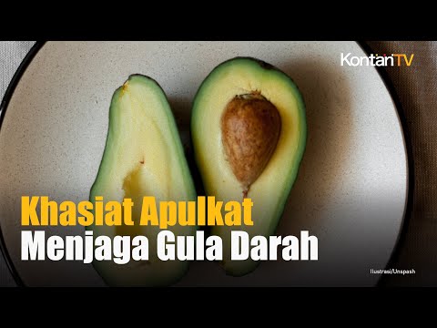 Resep Jus Alpukat Untuk Diabetes