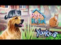 PETS HOTEL - СИМУЛЯТОР ОТЕЛЯ ДЛЯ ДОМАШНИХ ЖИВОТНЫХ  #1