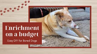 DIY Dog Enrichment Toy with Toilet Paper Rolls 🧻 | Easy, Free & Fun Brain Game for Dogs!