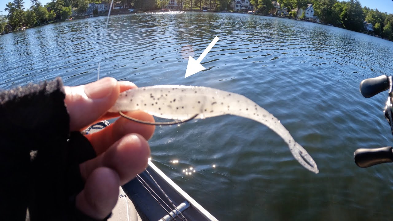 What to Throw for Bass under Bluebird Skies!!