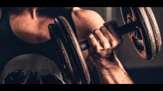 POWER HOUSE GYM  BODY BUILDING   بيت القوة لبناء الاجسام