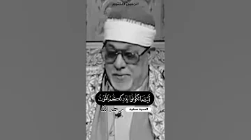 قل متاع الدنيا قليل السيد سعيد رحمه الله 