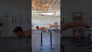 Calisthenics is about the journey (read below)