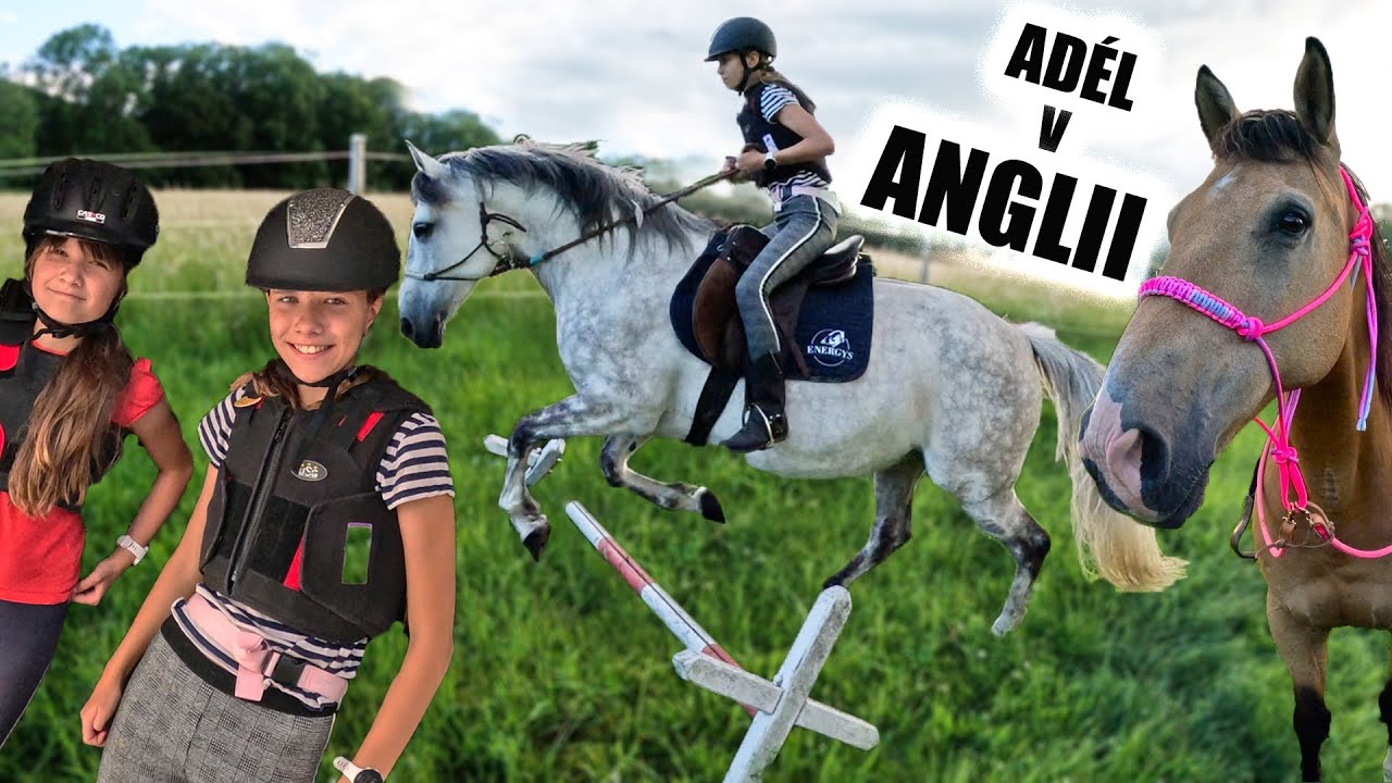 Dětský VLOG od koní, Jasper poprvé na jízdárně