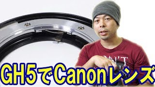 【カメラ】レンズマウントアダプターを試しま！CanonのレンズをPanasonicのGH5で使ってみよう！
