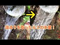 スッキリ！｜続・用水の詰まり取り〜田んぼに水を引くために水量が必要なんです。